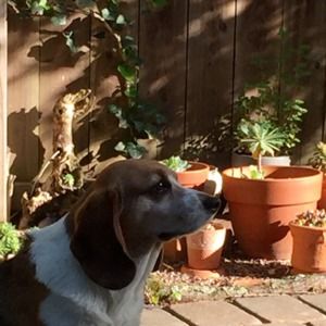 Meet your Posher, Lei